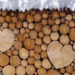 Alpenferienwohnung Strickner Нойштіфт-ім-Штубайталь