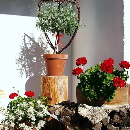 דירה Alpenferienwohnung Strickner