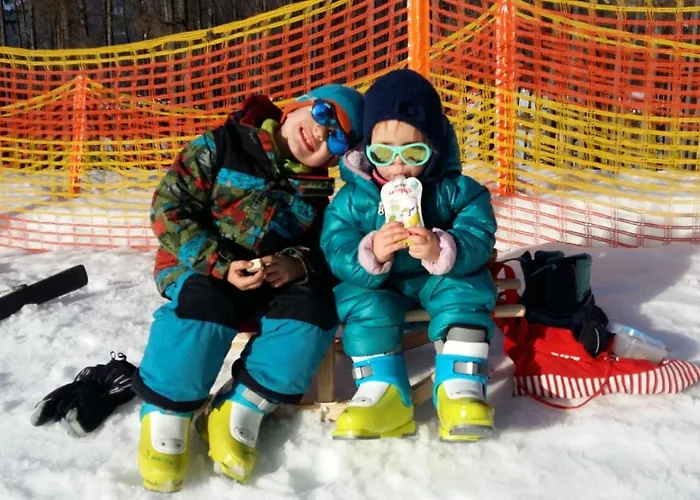 Alpenferienwohnung Strickner Neustift im Stubaital