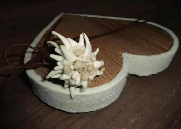 Alpenferienwohnung Strickner *