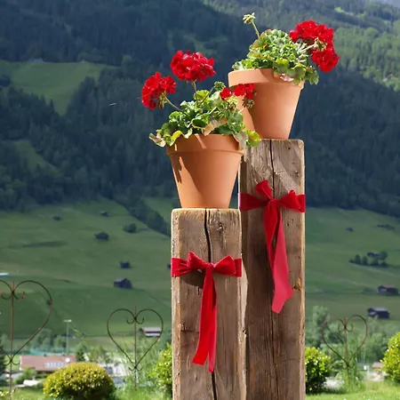 Apartment Alpenferienwohnung Strickner Neustift im Stubaital