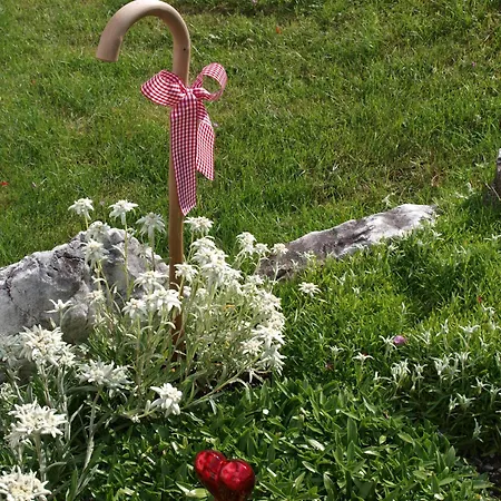 Apartment Alpenferienwohnung Strickner *