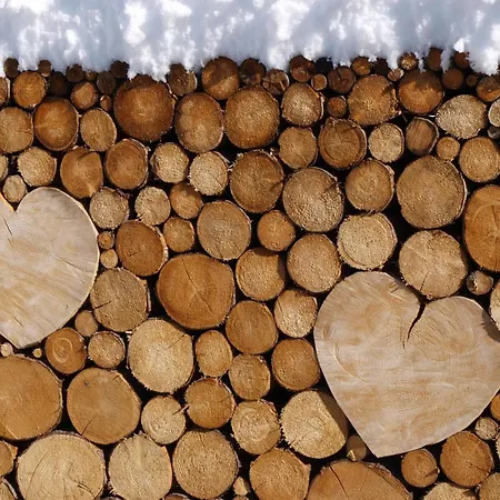 Alpenferienwohnung Strickner Neustift im Stubaital