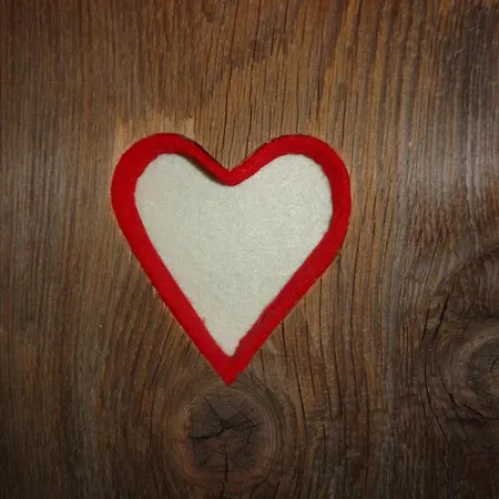 Apartment Alpenferienwohnung Strickner Neustift im Stubaital