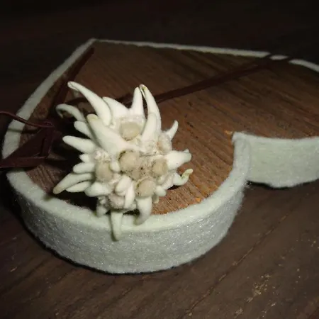 Alpenferienwohnung Strickner *