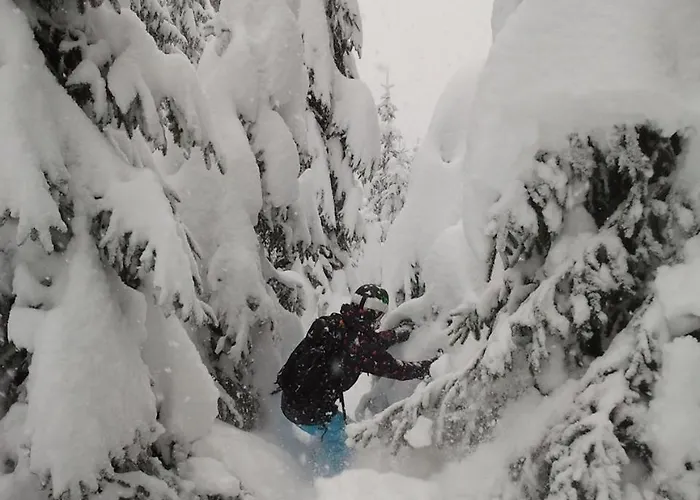 Alpenferienwohnung Strickner