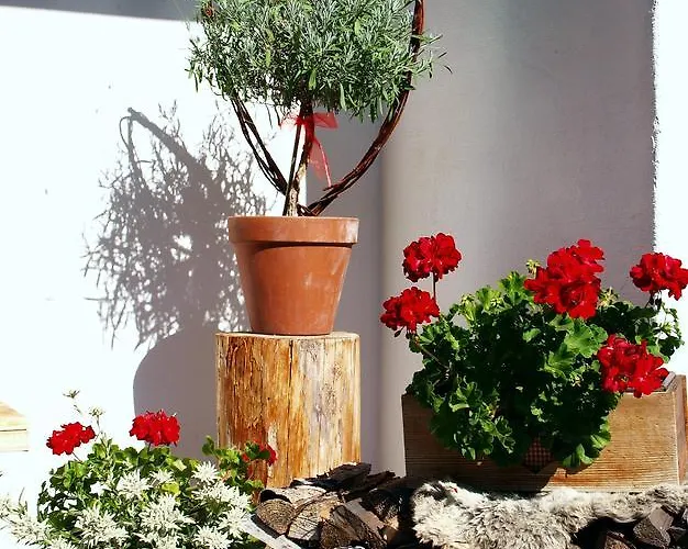 Apartamento Alpenferienwohnung Strickner